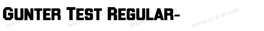 Gunter Test Regular字体转换